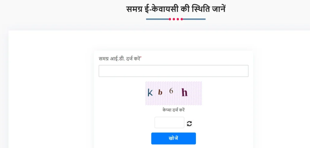 e KYC Status